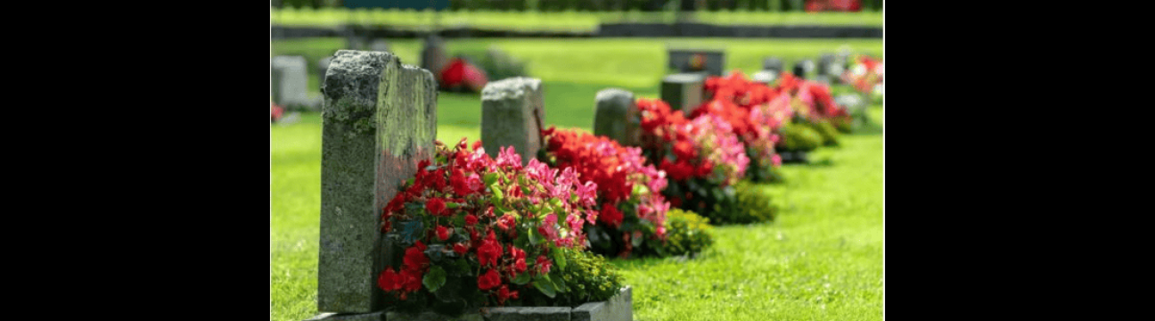 Monuments Of The South