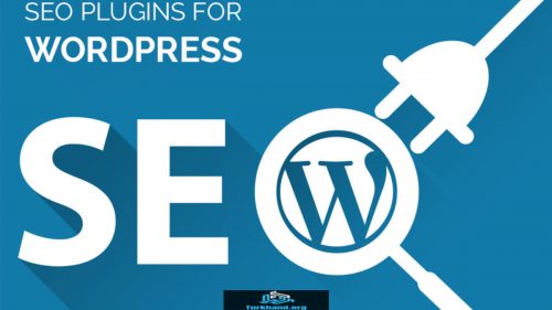 seo wordpress service